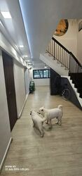 Blk 788E Woodlands Crescent (Woodlands), HDB Executive #593979151